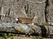 ˂ނ炳̎߉ރPx̓eʐ^2