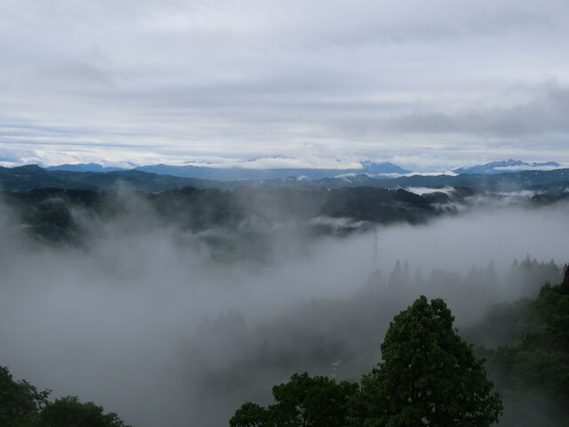 ꍏƎpς_C_܂œ@_C