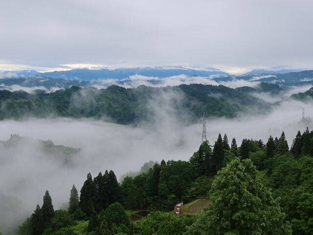 yosshŷ܂œ@_C̓eʐ^4