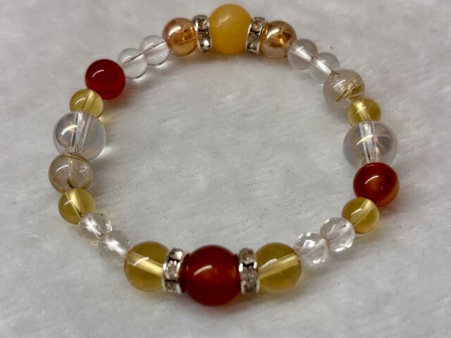 �������Đg�ɂ��ċA��܂����B_�����E�V�R�� ��������.��