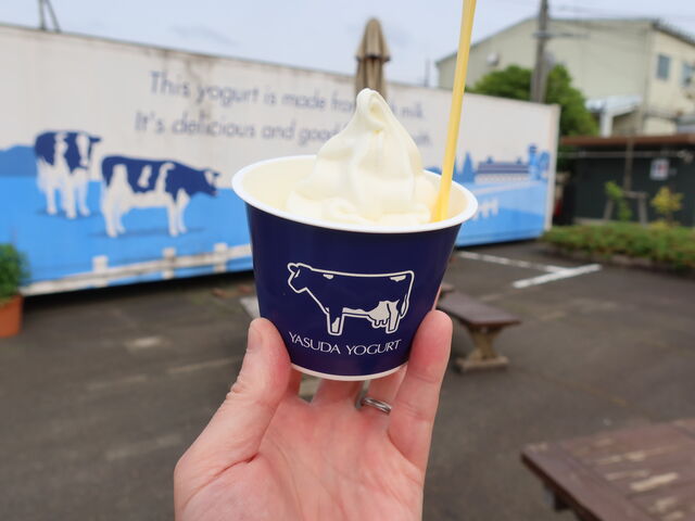 yosshỹX_[Og Y&Y GARDEN̓eʐ^5