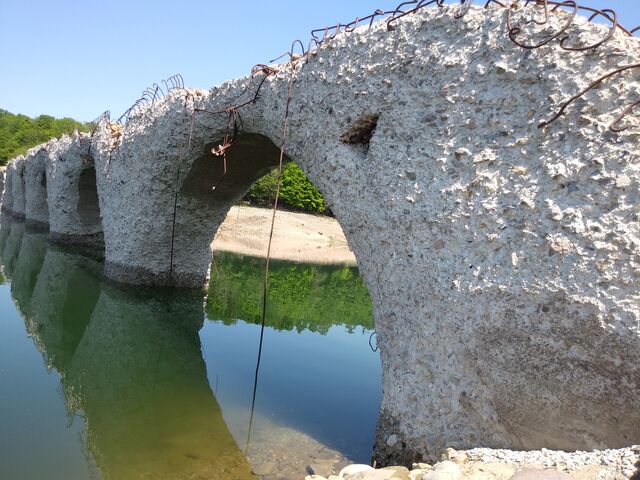 �傫�ȋ��ł��B_�Ђ�����Ꭹ�R�K�C�h�Z���^�[