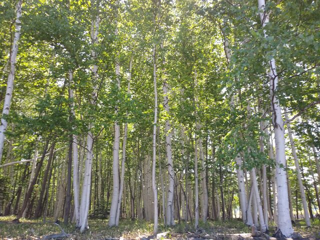 �����т��u�₩�ł����B_�Ђ�����Ꭹ�R�K�C�h�Z���^�[