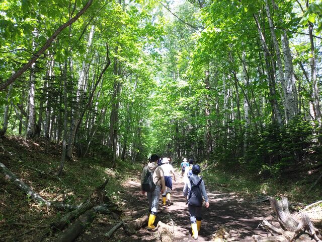 ���������Ƃ����X�̏������A�݂�Ȃłŕ����Ε��C�B_�Ђ�����Ꭹ�R�K�C�h�Z���^�[