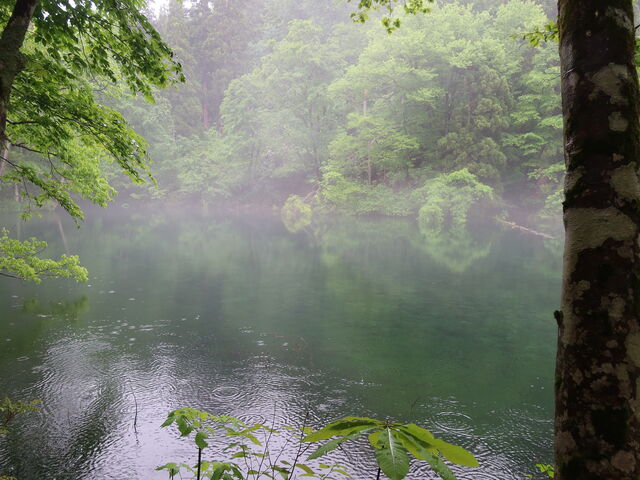 �����Ȃ������_�����E�̒r