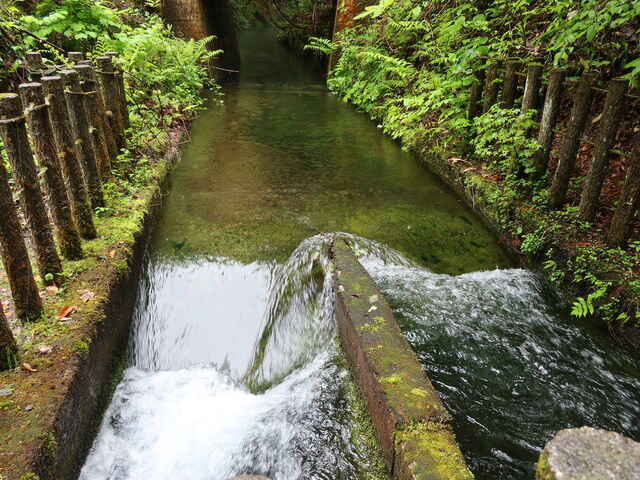 �������������o��_�����E�̒r