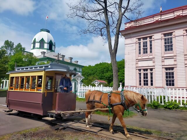 �n�ԓS��_�k�C���J��̑�