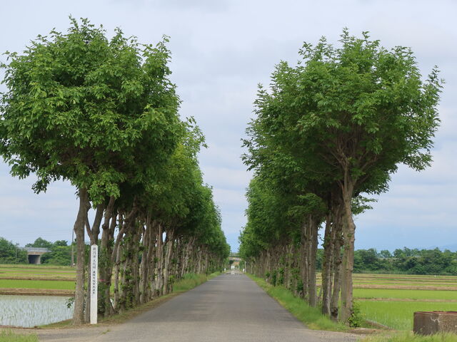 yosshy̖莛̂͂ؕ؂̓eʐ^1