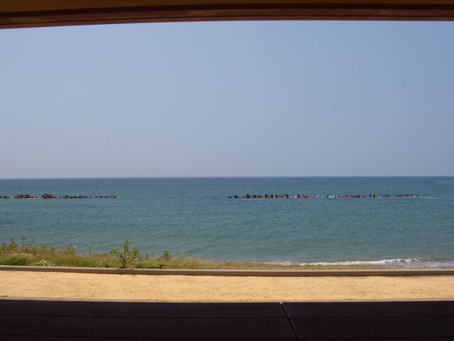 �x�e��������{�C�𒭂߂�_���i���̂ӂ闢����̊�