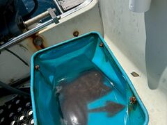 ������񂳂�̏��M�@�̓��A�@�ނ�̌��t���N���[�Y�ւ̓��e�ʐ^1