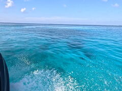 䂤̋{Ó}KChЂւ̓eʐ^1