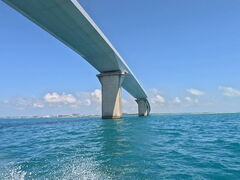 䂤̋{Ó}KChЂւ̓eʐ^2