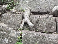 `[񂳂̘a̎Rւ̓eʐ^2