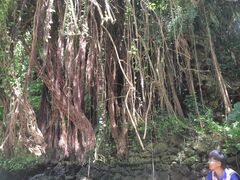 ݂݂݂̃u[tB[hւ̓eʐ^1