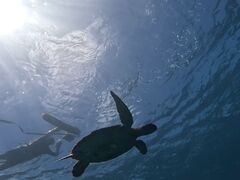 ܂[SHISHIΊ_ւ̓eʐ^1