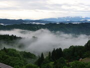 yosshŷ܂œ@_C̓eʐ^2