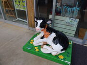 yosshỹX_[Og Y&Y GARDEN̓eʐ^3