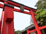 yosshy̌ܐ ܐ򔪔{̓eʐ^1