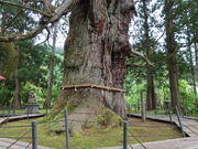 yosshy����̒���̑吙�̓��e�ʐ^1