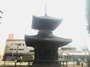 k_bNNo2̕ՏƎ󓃂̓eʐ^1