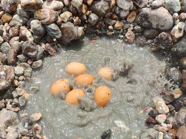 IRcnŃKCh񎝎Q̂܂Ɠ8
򂽂܂ł܂B_SOMOKUYA