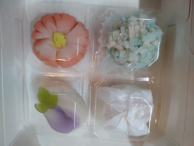 Ĥׂܑ̂Ȃi΁j_n aَqÂ̌