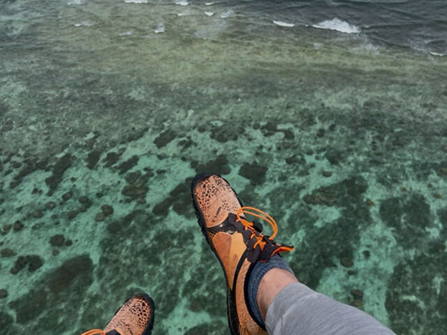 �󒆎U��_�����p���O���C�_�[�K�C�h�T�[�r�X�n�b�s�[�X�J�C