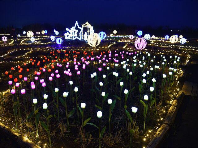 ���z�I�ȃC���~�l�[�V����_���^�~�I�[�K�j�b�N�����h