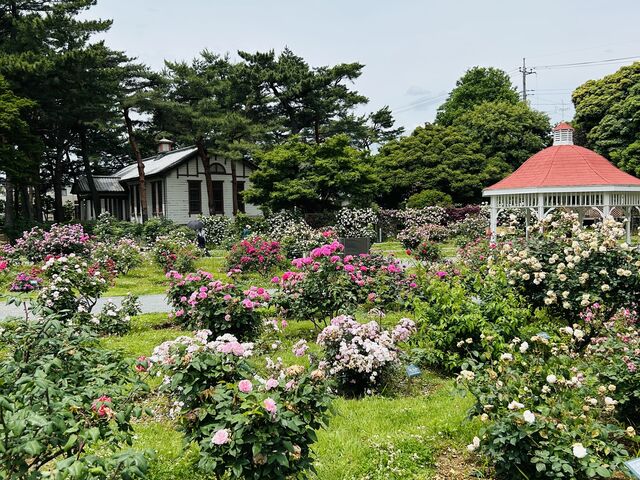 �o����_�~�������΂牀