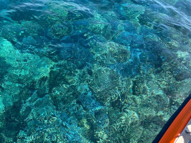 �X���O�~�߲��
�D�̏ォ��́A���߂��ō��ł����B_�Ί_����������V�[�T�[