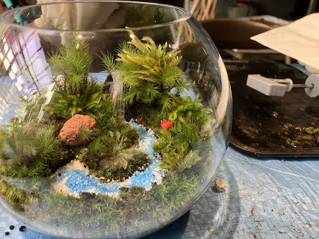 �Z���X���Ȃ��l�ł������ǂ������ɂł��Ă��I_�ۂ̂���