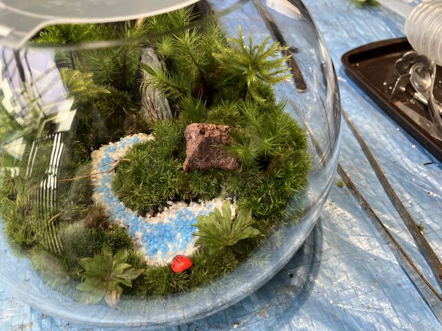 ��Ƀ��C�g��u�����߂̃J�o�[�����肵�Ă��������܂����B_�ۂ̂���