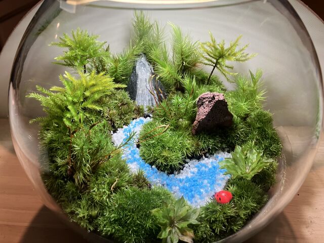 �喞���ł��I�I_�ۂ̂���