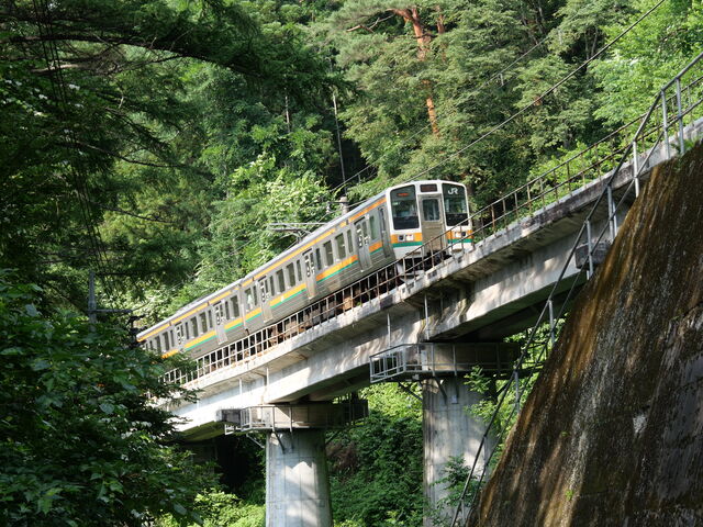 �r���A�a����ʂɐ��H�����ɕ����ĕ����ĂP�T���̋��܂ł����Ȃ��Ƃ����Ȃ��Ȃ�܂����B_��ȉ���i���o������j