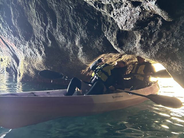 �����`��
��ɂԂ���E�E�Z�[�t_���ɓ��E�c�q�J���b�N�Z���^�[SeaFan�`�V�[�t�@���`