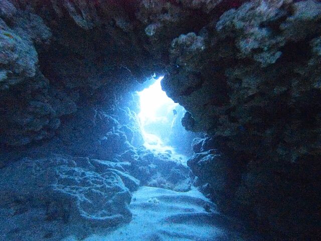 �X��̓��A��������܂���_�_�C�r���O���J�k�[�X�蒃��