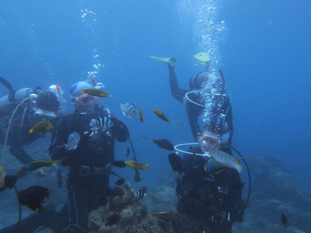 ������T�|�[�g_�_�C�r���O���J�k�[�X�蒃��