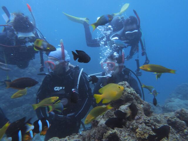 �M�ы��Ɉ͂܂��_�_�C�r���O���J�k�[�X�蒃��