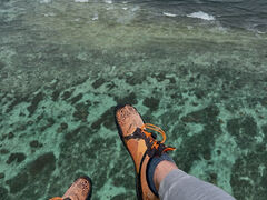 pOC_[KChT[rXnbs[XJC̎ʐ^2