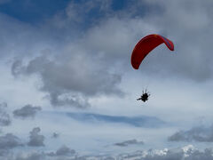 pOC_[KChT[rXnbs[XJC̎ʐ^4