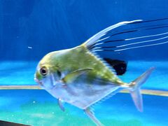 M񂳂̐䂤݂̓mقւ̓eʐ^2