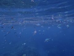 䂤̃ANA}AeB[iւ̓eʐ^3