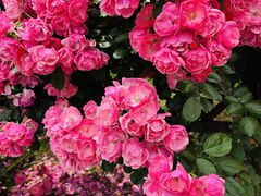 T}T̕~΂牀ւ̓eʐ^2