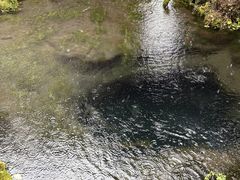 ނ̃gx`CXւ̓eʐ^2