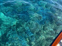 R}̐Ί_V[T[ւ̓eʐ^1