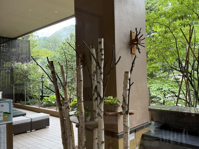 �J�t�F�̊O�ɑ����L��_��R�k�����t�z�e���~���I�[�l