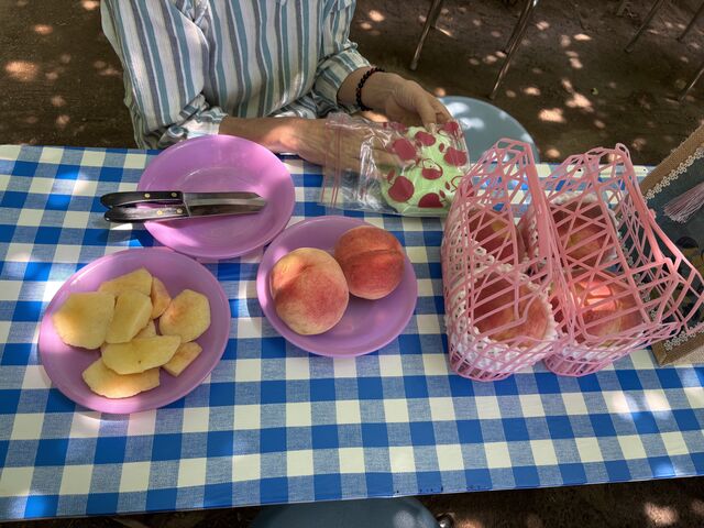 ������莩�R�̓��ł��B_������