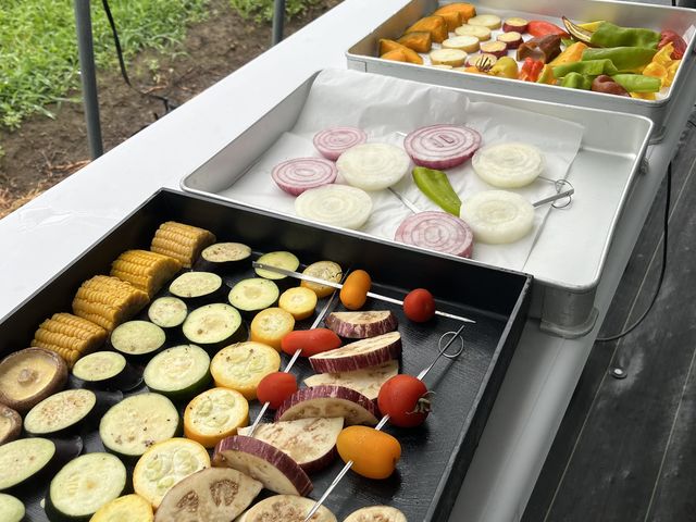 ���p�[�g���[�L���Ȃ����_�A�}���Y�K�[�f�����cBBQ��