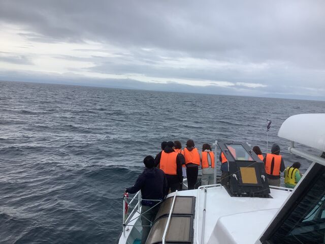 mőDɏ̓cA[̐lBƈꏏło܂łk̒mό̑D͂B_k̒mό