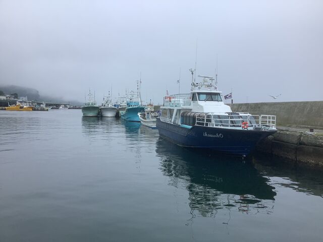 YȑDŊ̂悢ҒBēĂ܂B~̔wAKA邱Ƃo܂B_k̒mό